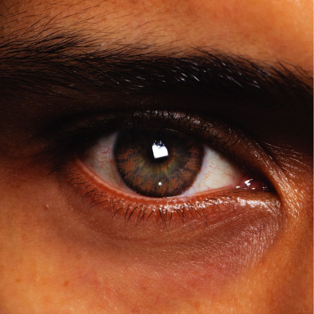 Mesmereyez - Kensington Cream Natural Coloured Contact lenses - Brown